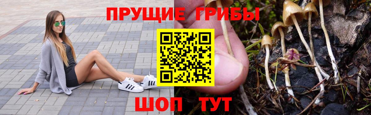 Галлюциногенные грибы мицелий  Вход с VPN  Галлюциногенные грибы мухоморы  Сергиев Посад 